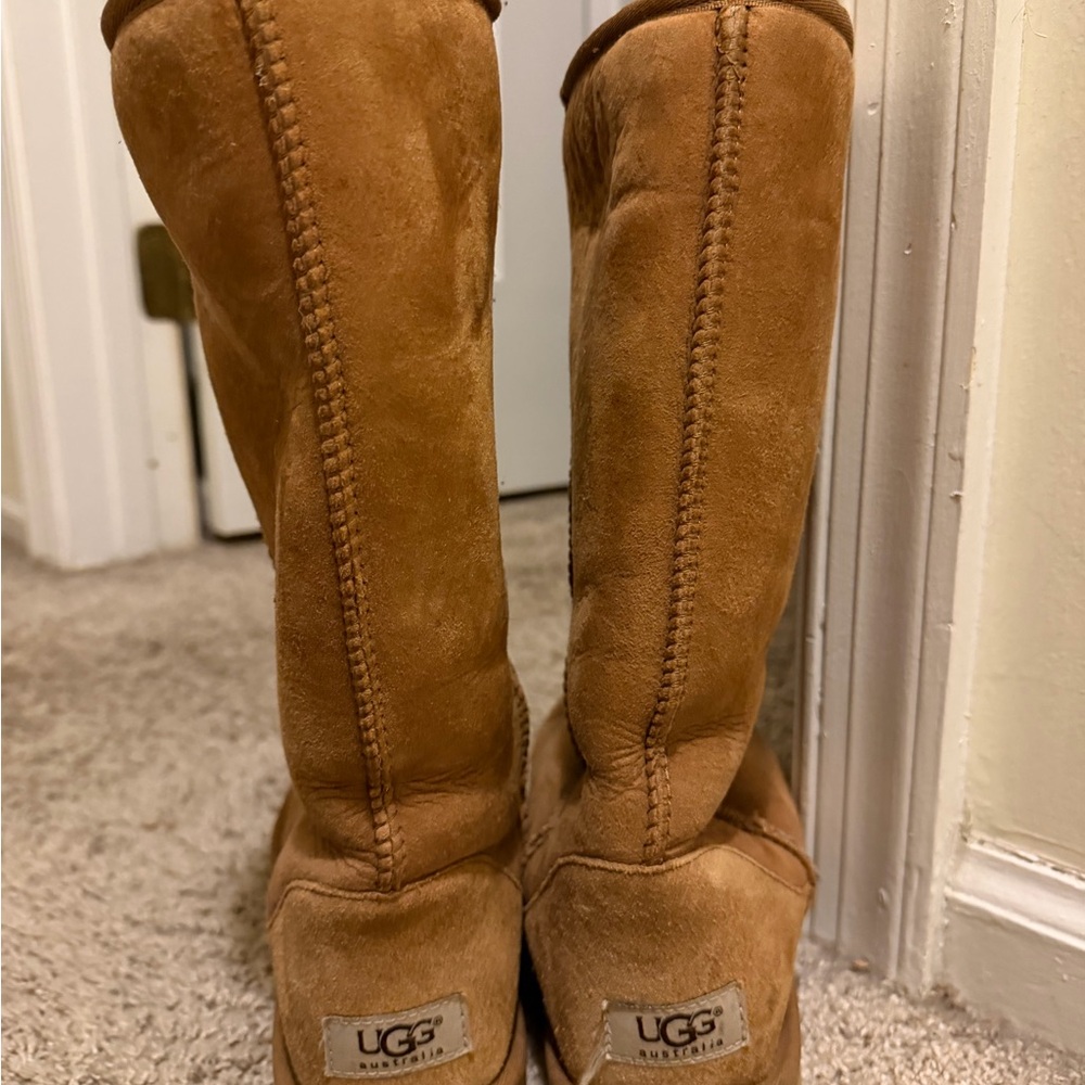 UGG Tall Boots in Tan Suede